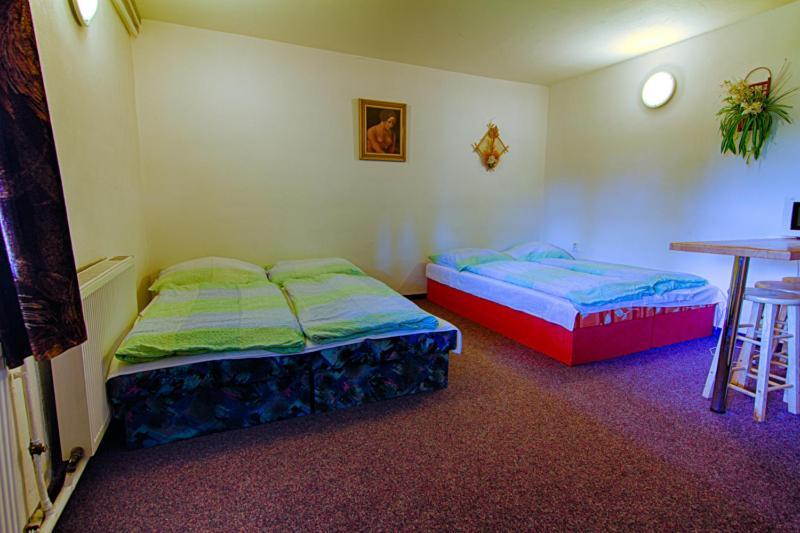 Pension Ivanka Jestrabi V Krkonosich ภายนอก รูปภาพ